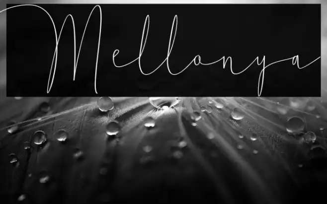 Mellonya Example 3