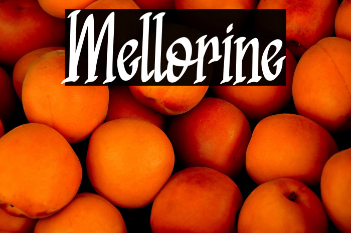 Mellorine Example 1