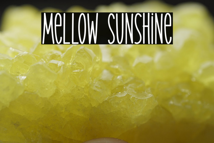 Mellow Sunshine Example 1
