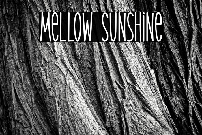 Mellow Sunshine Example 3