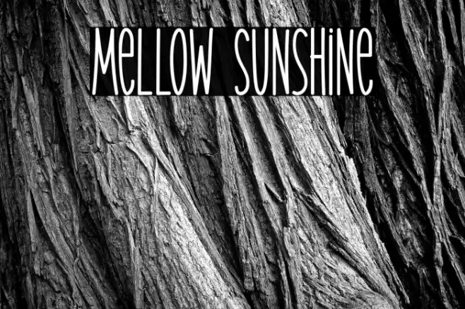 Mellow Sunshine Font examples