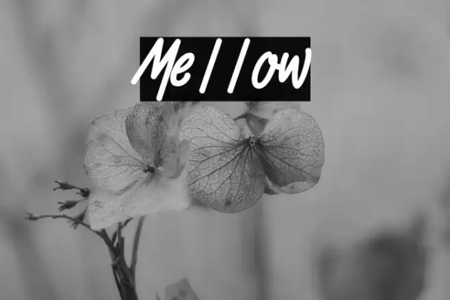 Mellow Font examples