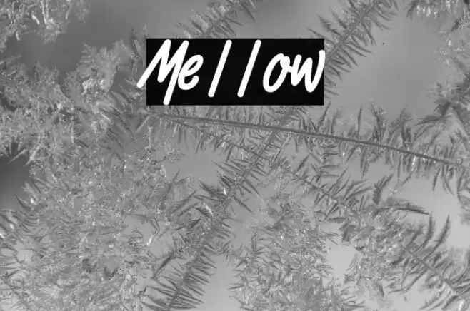 Mellow Font examples