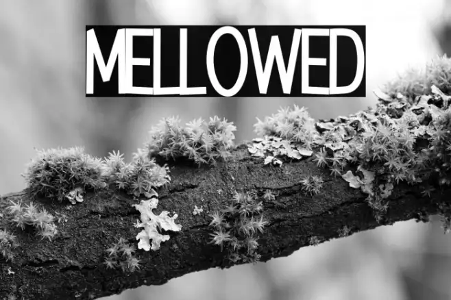 Mellowed Example 3