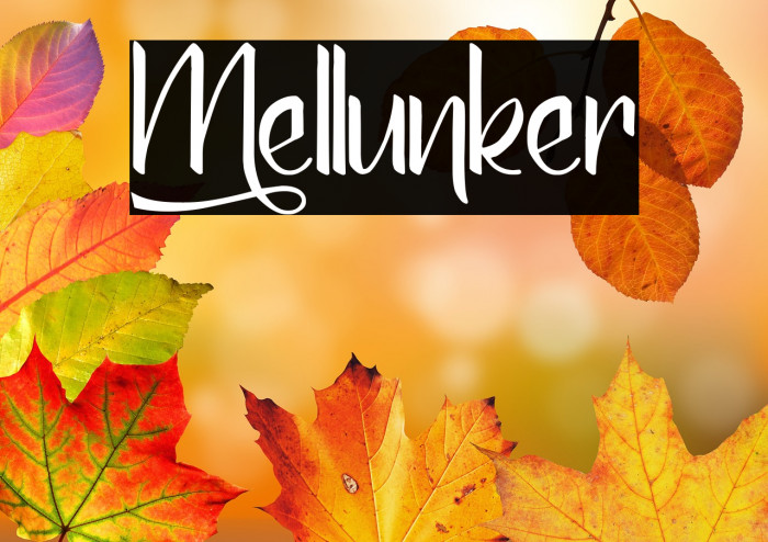 Mellunker Example 2