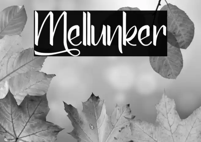 Mellunker Font examples