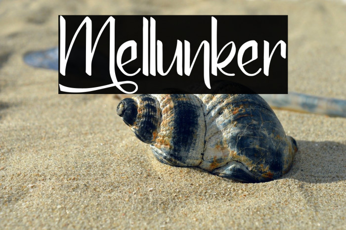 Mellunker Example 3