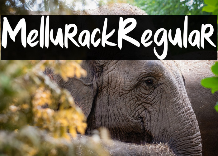 MellurackRegular Example 2