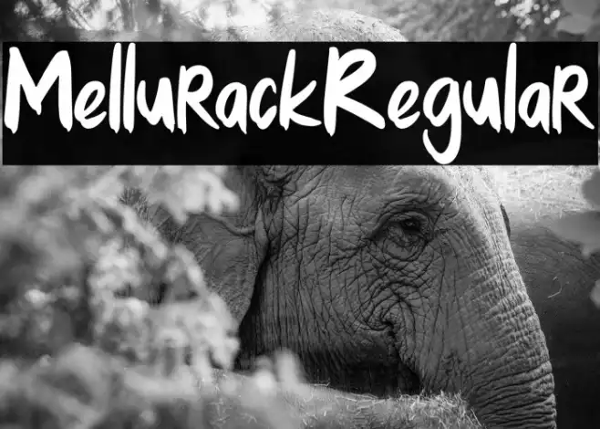 MellurackRegular Example 2
