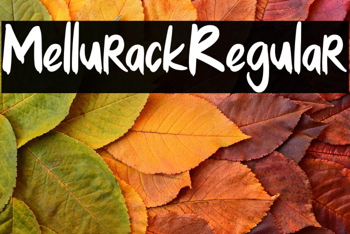 MellurackRegular Example 3