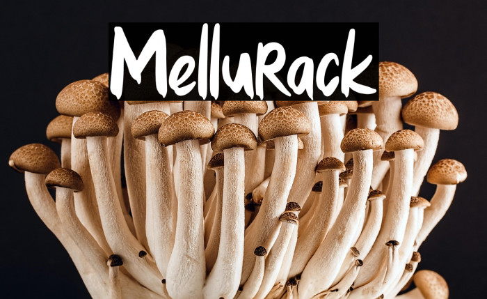 Mellurack Example 3