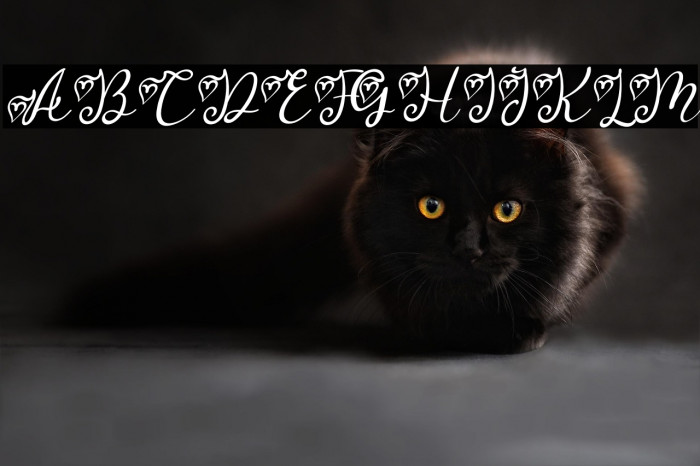 Melly Beauty Italic Example 3