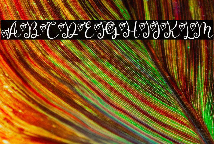 Melly Beauty Example 1