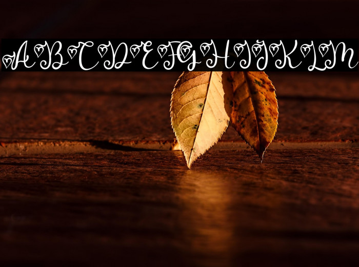 Melly Beauty Example 3