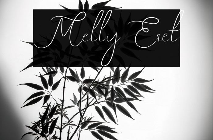 Melly Eret Example 1