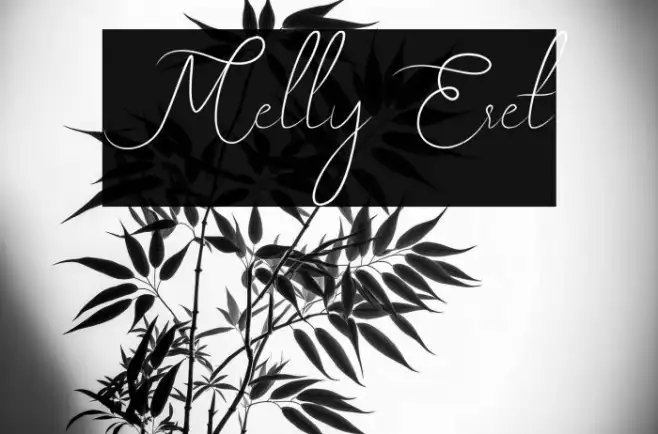 Melly Eret Example 1