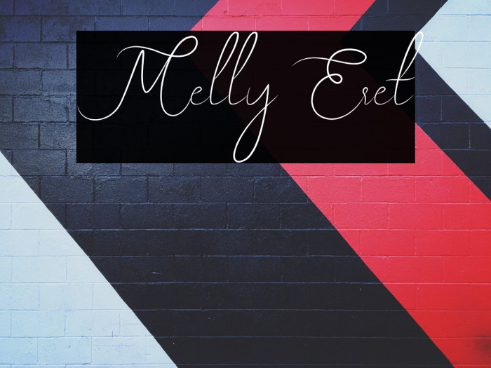 Melly Eret Example 2