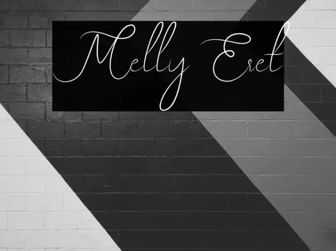 Melly Eret Example 2