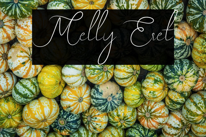 Melly Eret Example 3