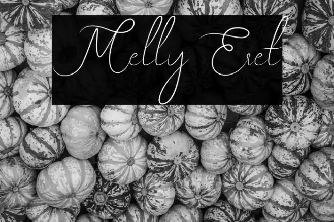 Melly Eret Example 3