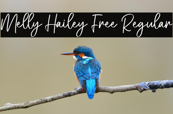 Melly Hailey Free Regular Example 3