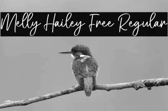 Melly Hailey Free Regular Example 3