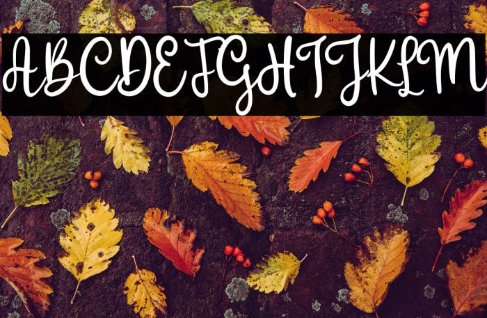 Melly Honney Demo Version Example 1