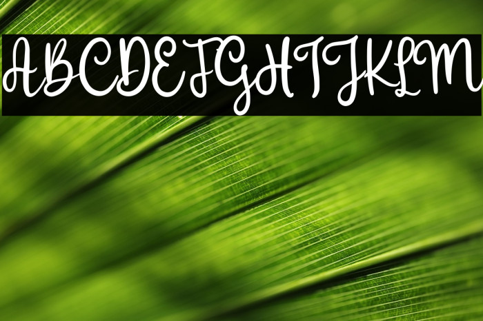 Melly Honney Demo Version Example 2