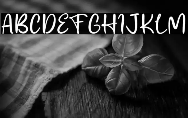 Melly Shoopia Font examples