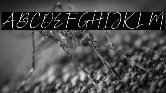 MellyThoughtieRegular Font examples