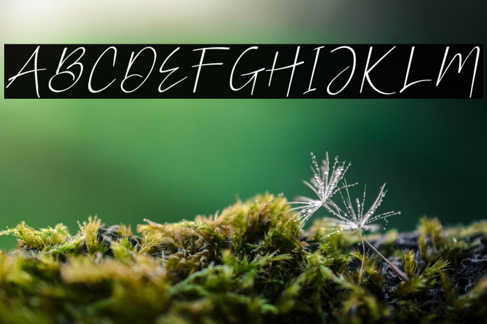 MellyThoughtieRegular Example 2