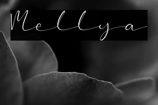 Mellya Example 3