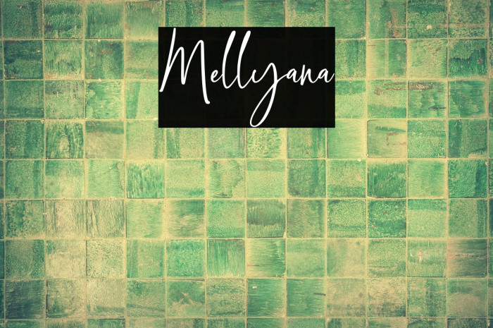 Mellyana Example 1