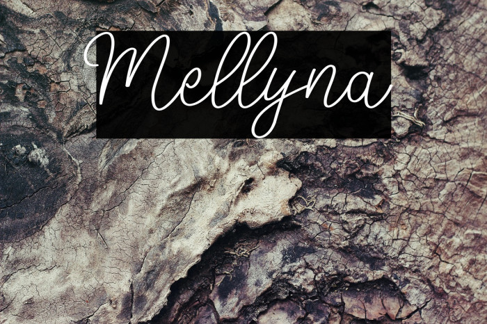 Mellyna Example 2