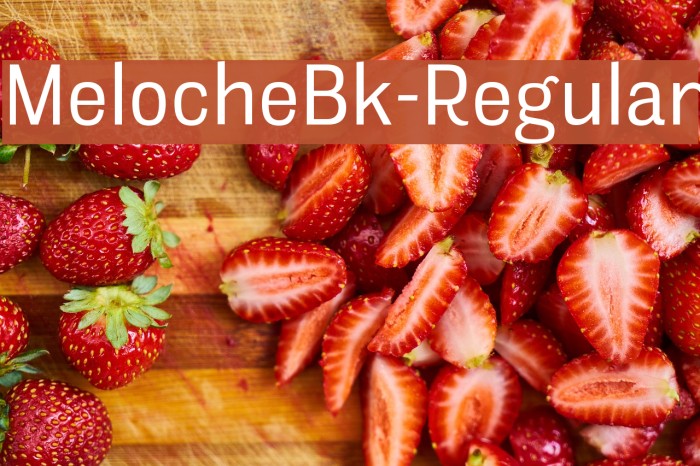 MelocheBk-Regular Font examples