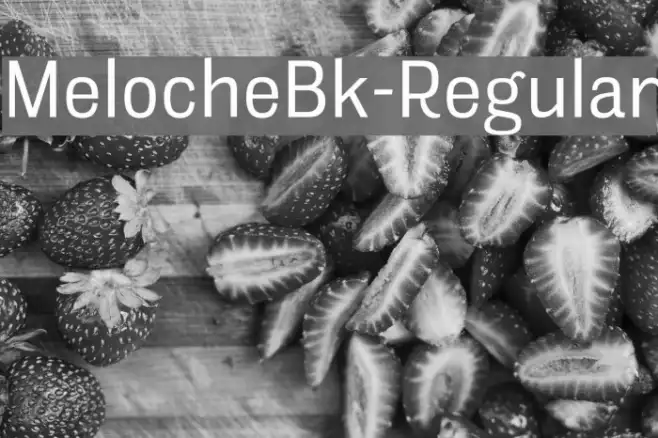 MelocheBk-Regular Example 1