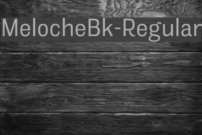 MelocheBk-Regular Example 3