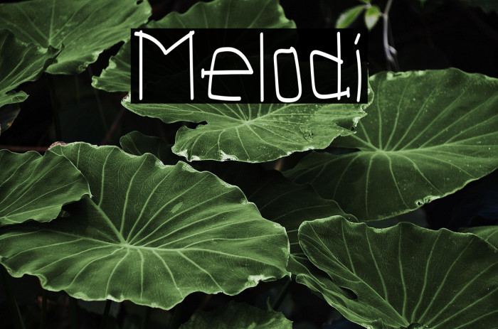 Melodi Example 1