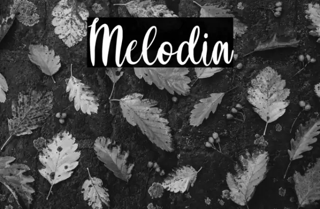 Melodia Font examples
