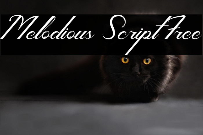 Melodious Script Free Example 1