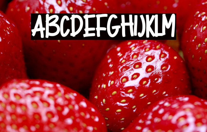 Melodisty - Personal Use Example 2