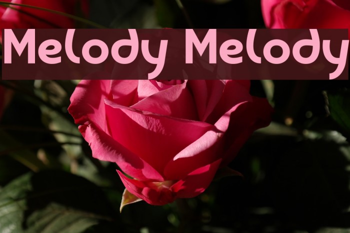 Melody Melody Font examples