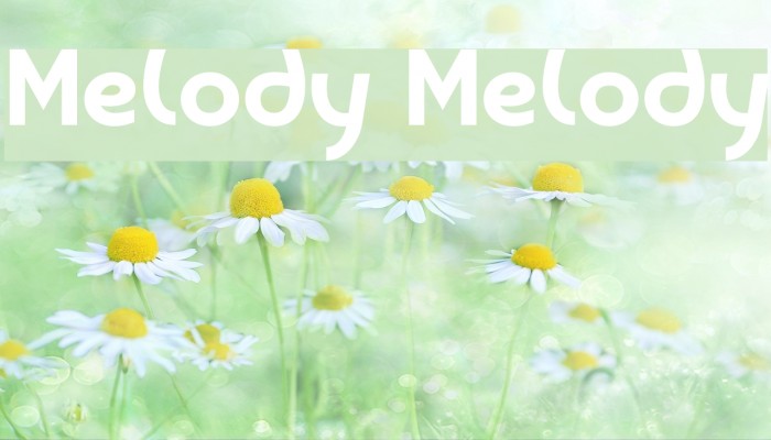 Melody Melody Font examples
