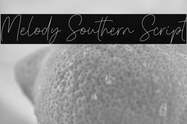 Melody Southern Script Font examples
