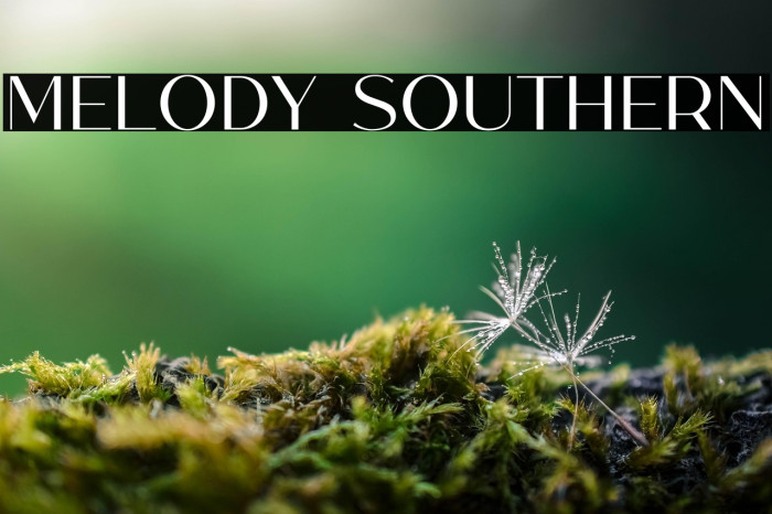 Melody Southern Example 2