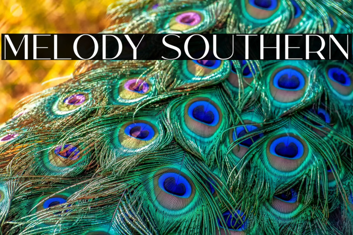 Melody Southern Example 3