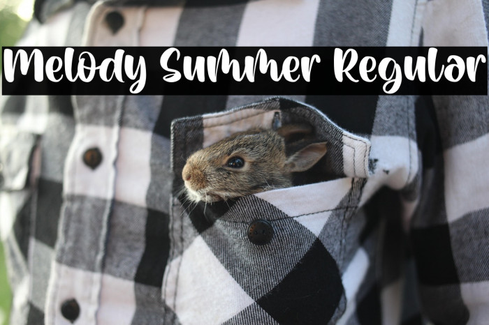 Melody Summer Regular Example 2