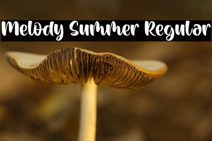 Melody Summer Regular Example 3