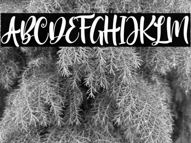 MelodyChristmas Font examples