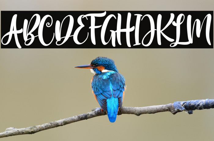 MelodyChristmas Example 3